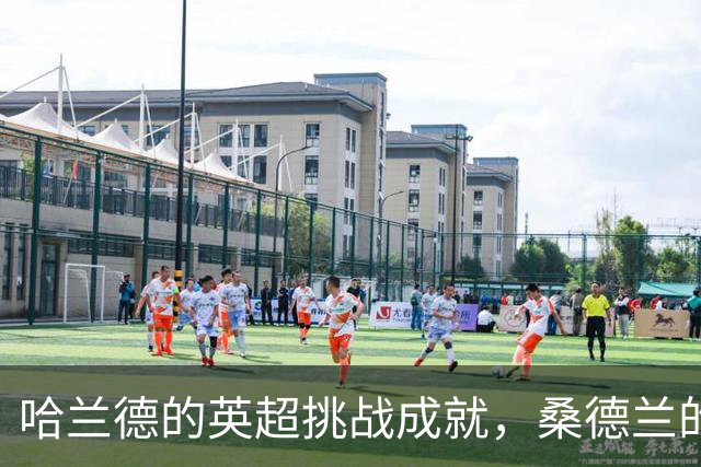 哈兰德的英超挑战成就，桑德兰的逆袭与惨败